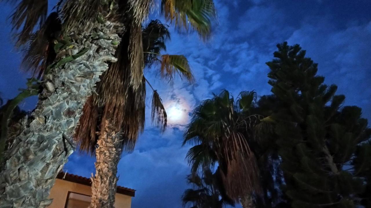 Emily Home Parque Holandes Dış mekan fotoğraf